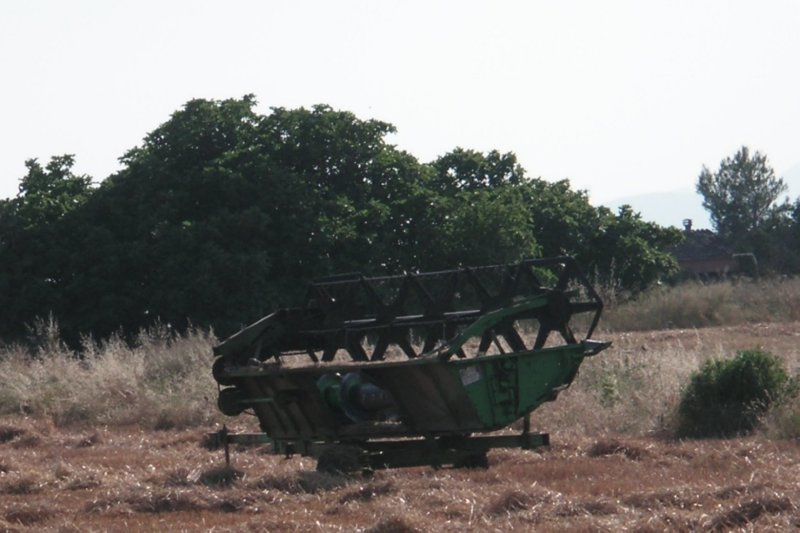 campo (2)  FOTOS IMAGENES